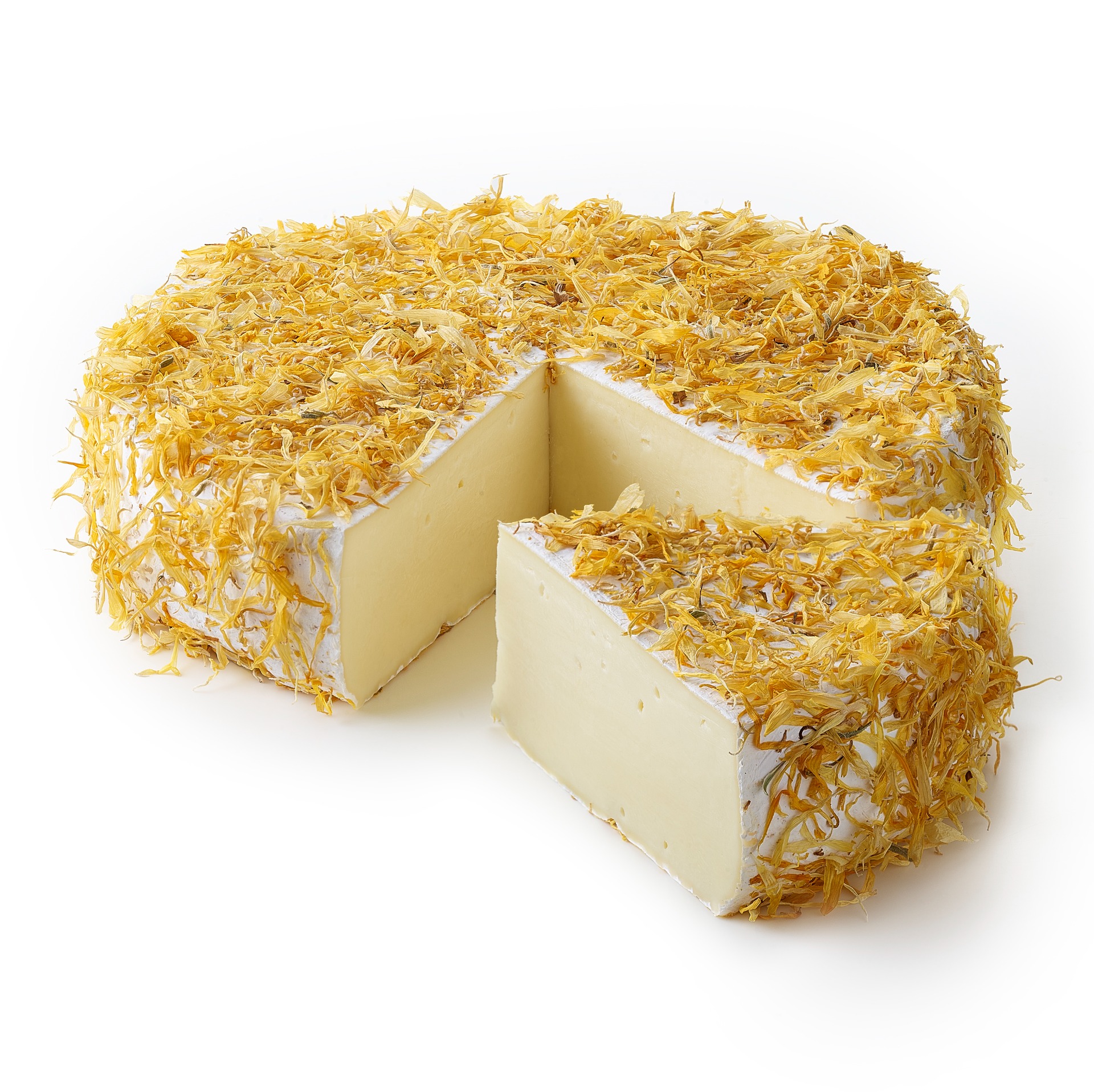 Damse Brie goudsbloem